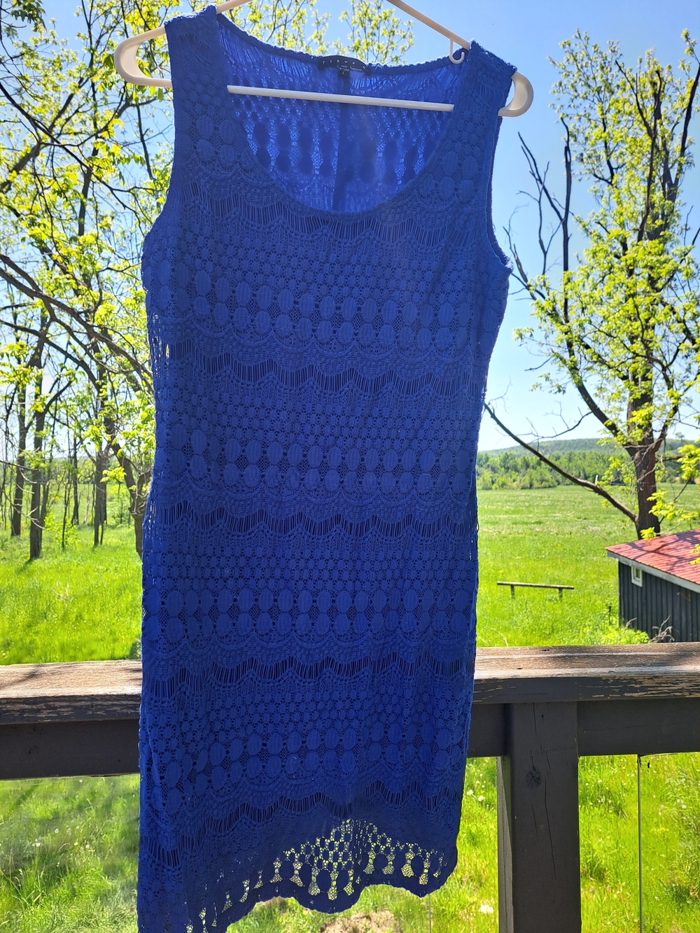 Tiana B. Royal Blue Crochet Lace Sleeveless Dress
